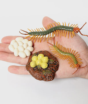 Montessori Levenscyclus Insecten Speelgoed: Spin, Duizendpoot, Schorpioen & Mier