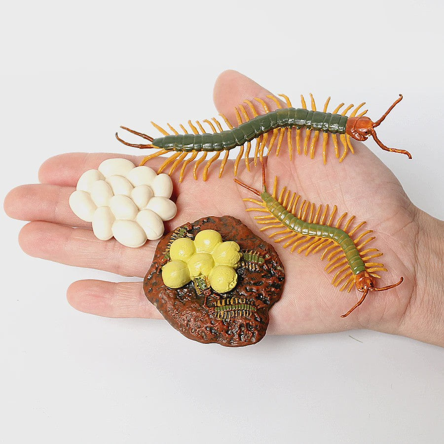 Montessori Levenscyclus Insecten Speelgoed: Spin, Duizendpoot, Schorpioen & Mier