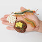 Montessori Levenscyclus Insecten Speelgoed: Spin, Duizendpoot, Schorpioen & Mier