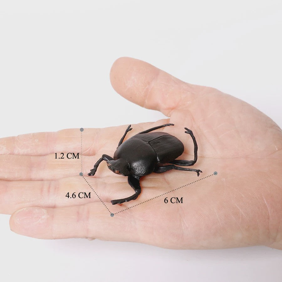 Realistische Insecten & Slakken Modellen - Educatief Speelgoed, Verzamelen & Decoratie