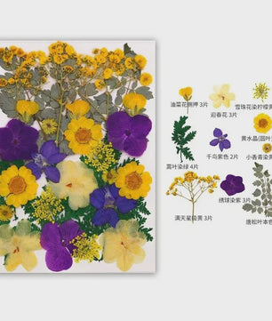 30 Stuks Gedroogde Persbloemen - Natuurlijke Bloemen & Bladeren voor Resin Art, Knutselen en Decoratie