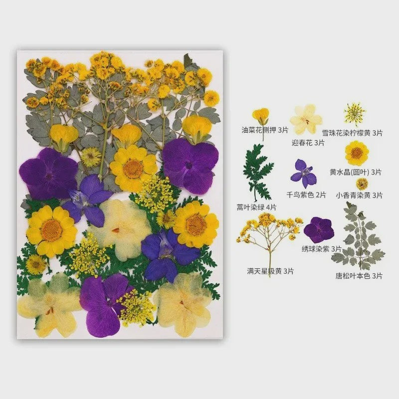 30 Stuks Gedroogde Persbloemen - Natuurlijke Bloemen & Bladeren voor Resin Art, Knutselen en Decoratie
