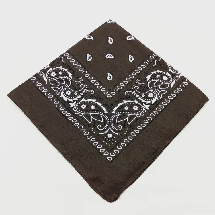 Modieuze Katoenen Bandana Sjaal 54x54cm - Paisley Print voor Dames & Heren