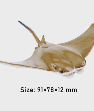 Toymany Manta Ray Speelfiguur - Realistische Oceaan Dieren Model, Cadeau voor Kinderen