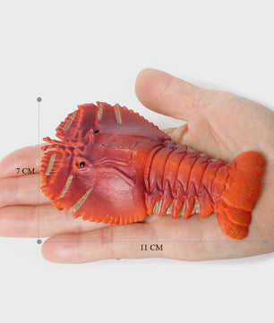 Educatieve Prehistorische Zeedieren Figuren Set: Baculite, Opabinia, Krab & Meer