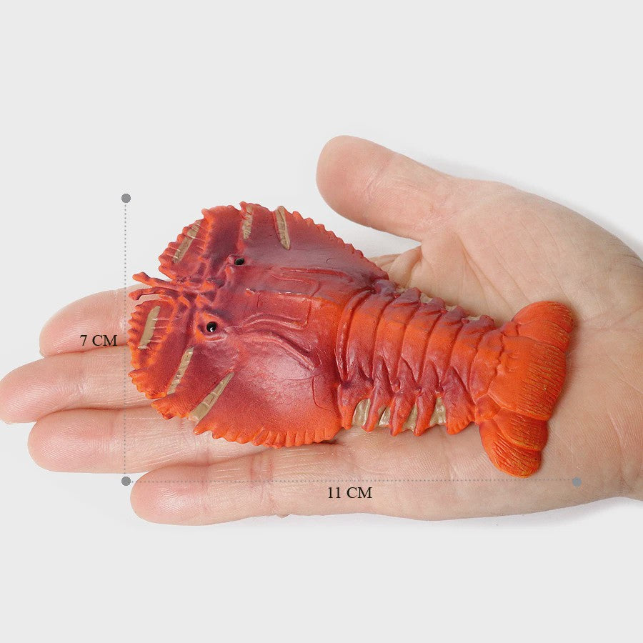 Educatieve Prehistorische Zeedieren Figuren Set: Baculite, Opabinia, Krab & Meer