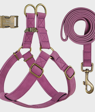 Luxe PU Leder Hondentuig met Leash en Gepersonaliseerde ID Gesp - Duurzaam voor Kleine & Middelgrote Honden