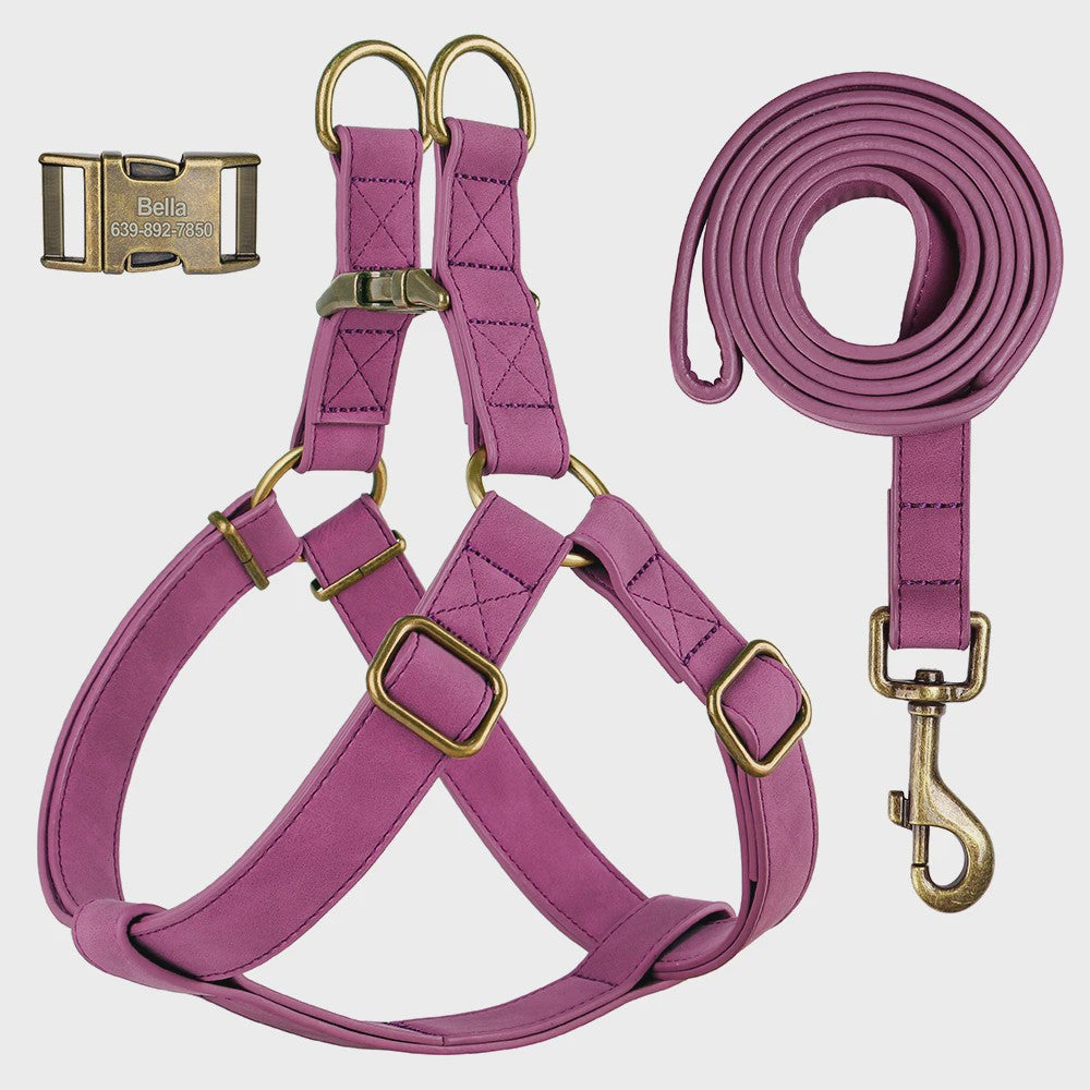 Luxe PU Leder Hondentuig met Leash en Gepersonaliseerde ID Gesp - Duurzaam voor Kleine & Middelgrote Honden