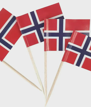 100x Mini India Vlaggetjes op Houten Prikkers - Ideaal voor Cupcakes, Cocktails & Feestdecoratie