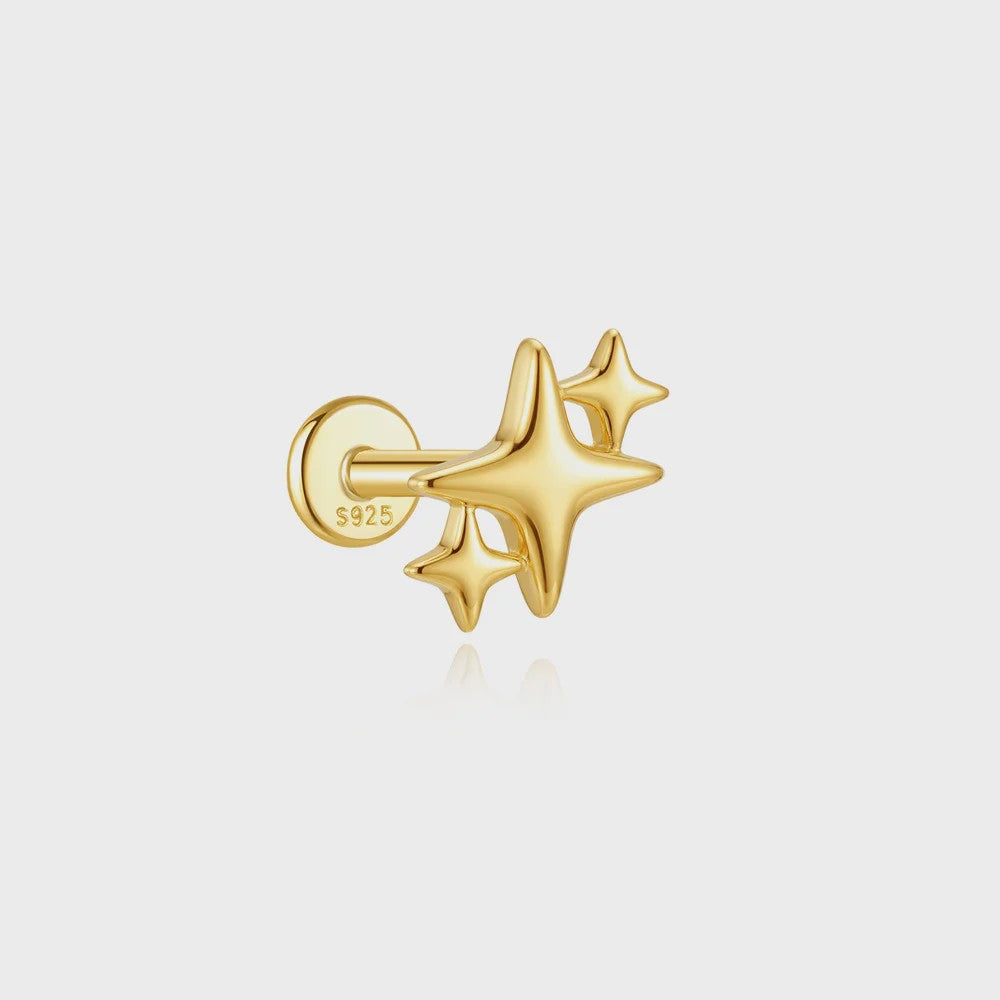 925 Sterling Zilveren Kolibrie Oorbellen Dames - 18K Goudkleurig Platte Achterkant Studs