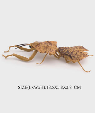 Realistische Insecten Model Figuren: Bidsprinkhaan, Bladwesp & Meer - Educatief Speelgoed & Decoratie