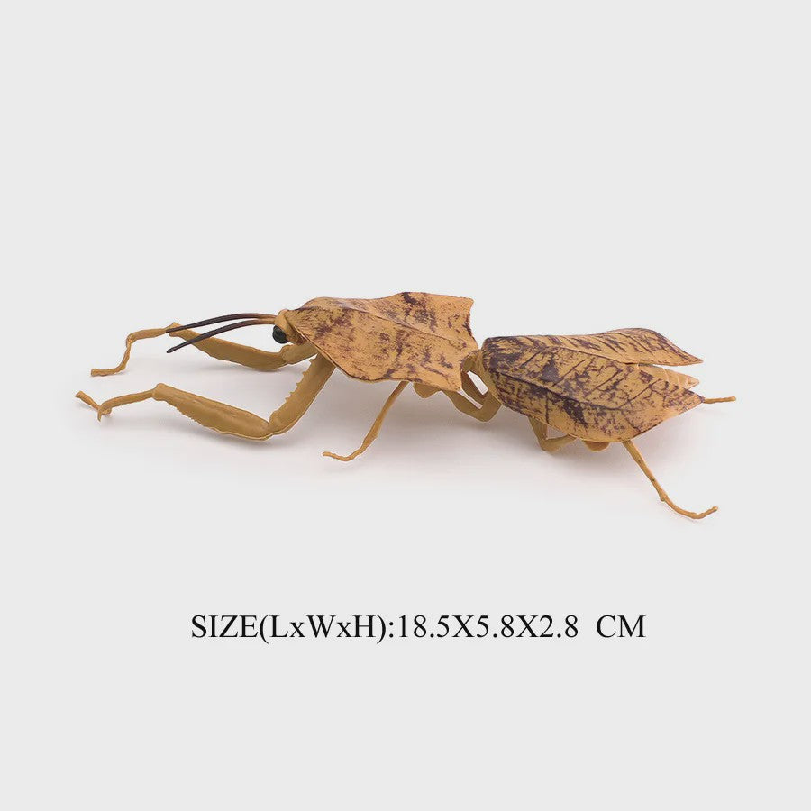Realistische Insecten Model Figuren: Bidsprinkhaan, Bladwesp & Meer - Educatief Speelgoed & Decoratie