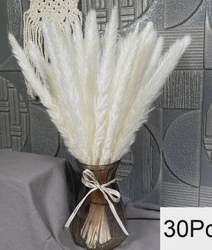 Natuurlijk Pampas Gras Boeket - Gedroogde Bloemen voor Boho Woondecoratie & Bruiloft