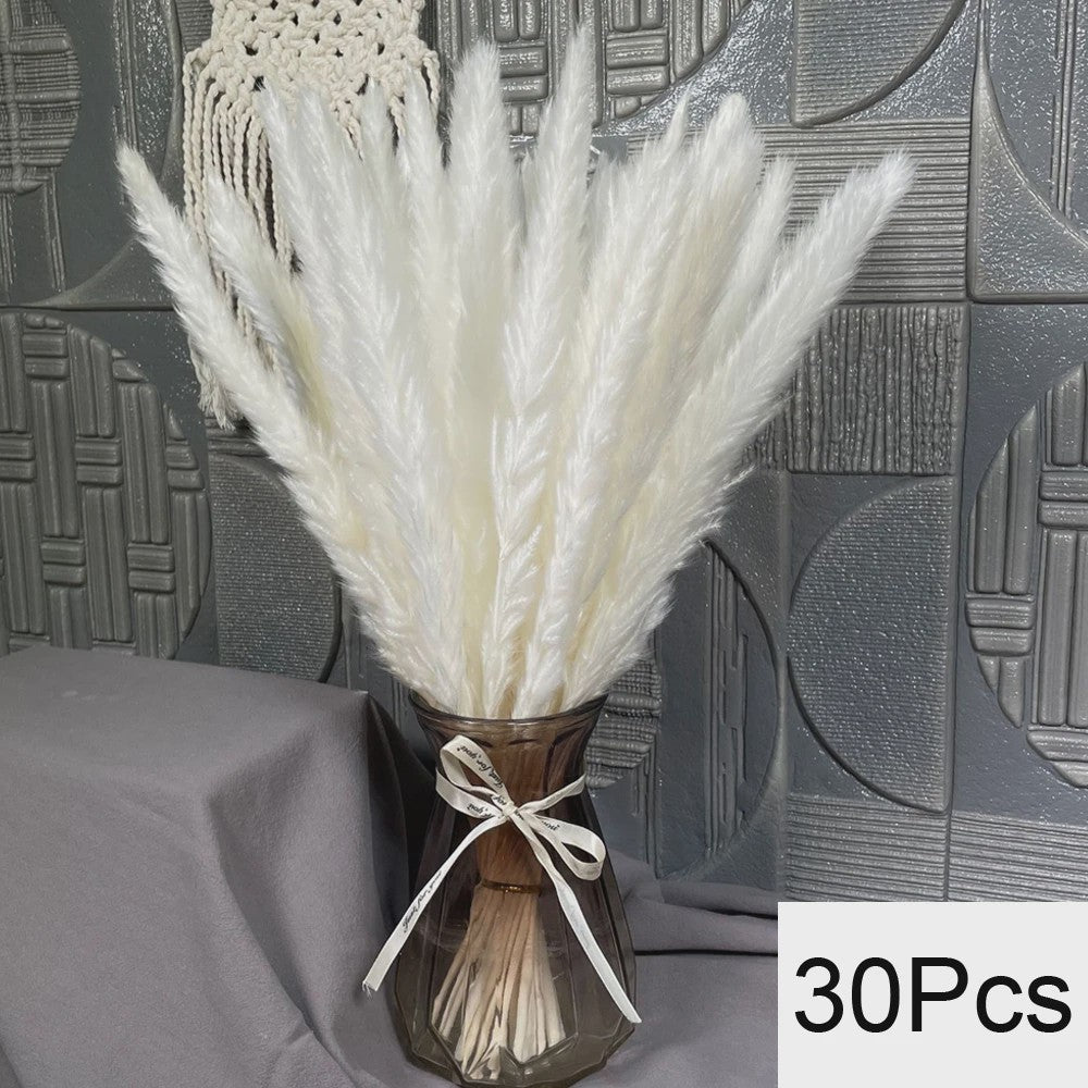 Natuurlijk Pampas Gras Boeket - Gedroogde Bloemen voor Boho Woondecoratie & Bruiloft