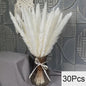 Natuurlijk Pampas Gras Boeket - Gedroogde Bloemen voor Boho Woondecoratie & Bruiloft