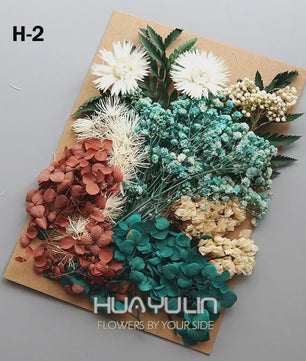 Set Gedroogde Bloemen & Hydrangea voor Ambacht & Decoratie