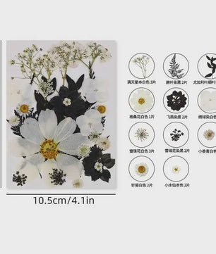 Set Gedroogde Bloemen & Bladeren (16-19 Stuks) - Natuurlijk & Realistisch