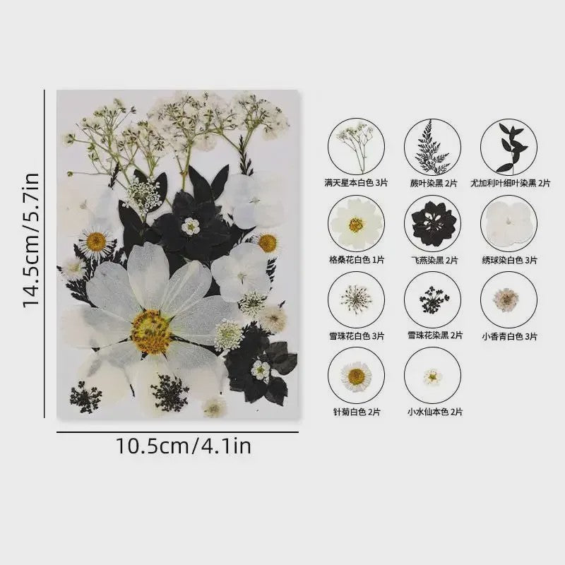 Set Gedroogde Bloemen & Bladeren (16-19 Stuks) - Natuurlijk & Realistisch