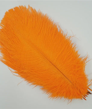 Set van 10 Gekleurde Struisvogelveren voor Knutselen, Decoratie en Feesten