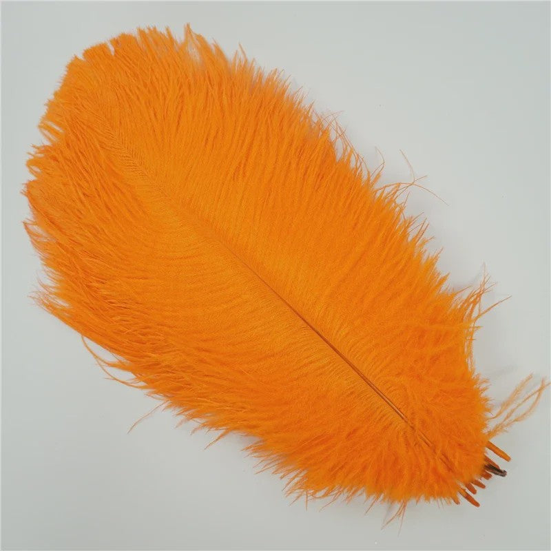 Set van 10 Gekleurde Struisvogelveren voor Knutselen, Decoratie en Feesten