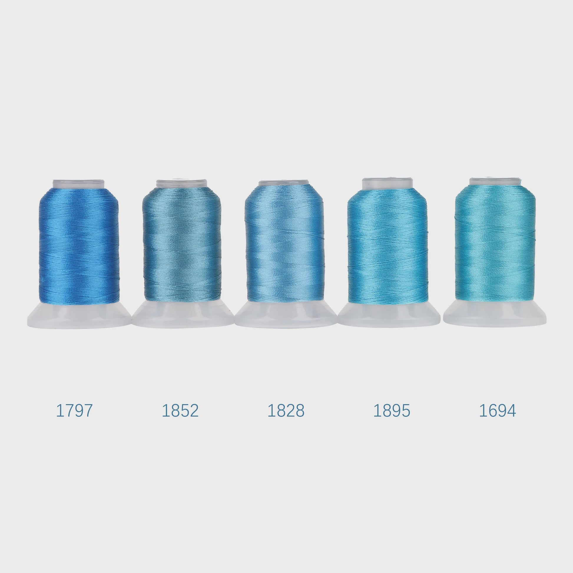 80 Kleuren Premium Polyester Borduurzijde Set - 500M Spoelen voor Huisborduurmachines