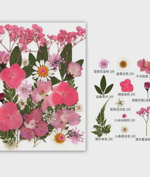 30 Stuks Gedroogde Persbloemen - Natuurlijke Bloemen & Bladeren voor Resin Art, Knutselen en Decoratie