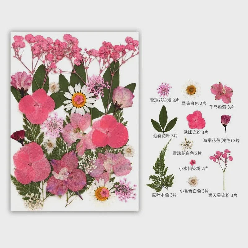 30 Stuks Gedroogde Persbloemen - Natuurlijke Bloemen & Bladeren voor Resin Art, Knutselen en Decoratie