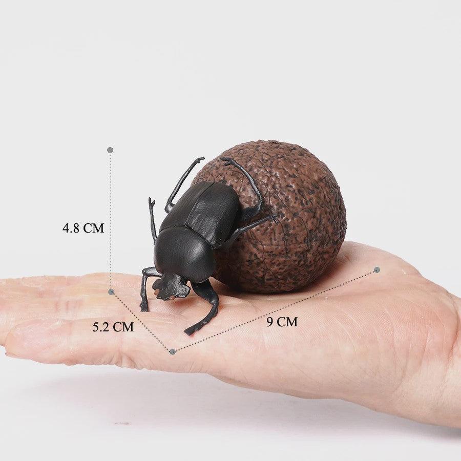 Realistische Insecten & Slakken Modellen - Educatief Speelgoed, Verzamelen & Decoratie