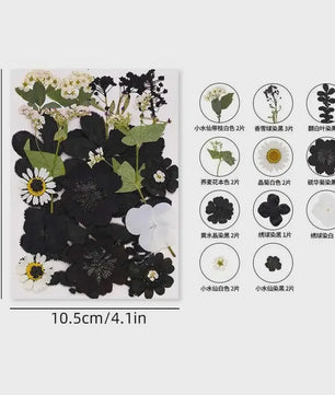 Set Gedroogde Bloemen & Bladeren (16-19 Stuks) - Natuurlijk & Realistisch