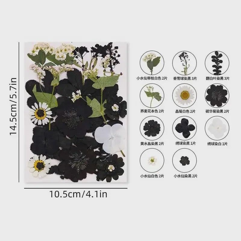 Set Gedroogde Bloemen & Bladeren (16-19 Stuks) - Natuurlijk & Realistisch