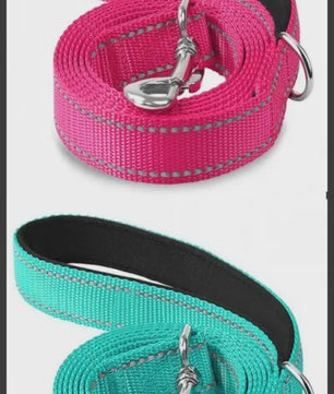 Veilige Hondentuig & Lijn Set met Nachtreflectie - Padded Handvat