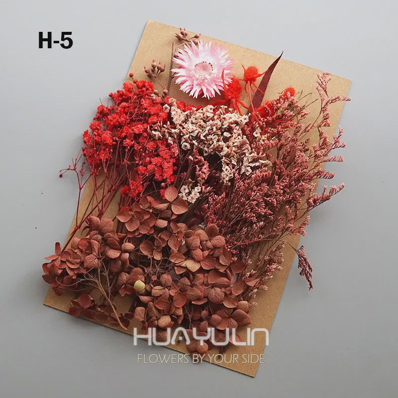 Set Gedroogde Bloemen & Hydrangea voor Ambacht & Decoratie
