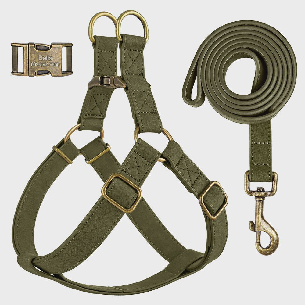 Luxe PU Leder Hondentuig met Leash en Gepersonaliseerde ID Gesp - Duurzaam voor Kleine & Middelgrote Honden