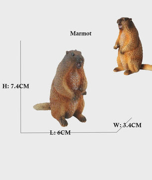 Set van 6 Realistische Dierenbeeldjes: Capibara, Eekhoorn & Marmot Speelgoed
