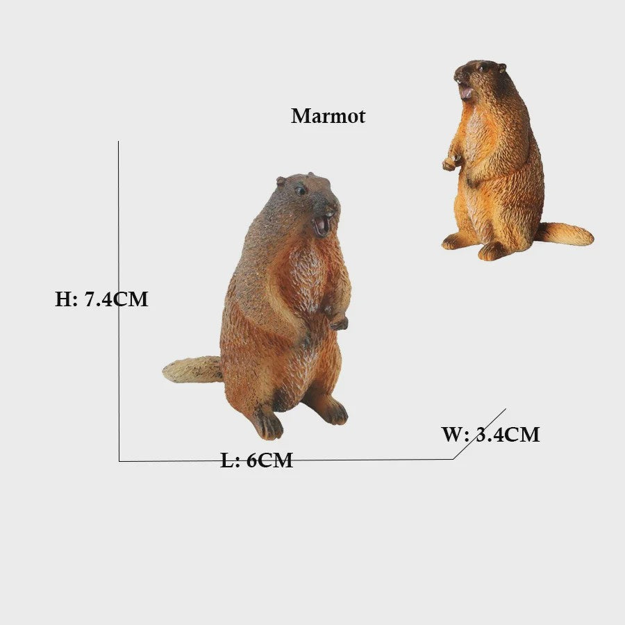 Set van 6 Realistische Dierenbeeldjes: Capibara, Eekhoorn & Marmot Speelgoed