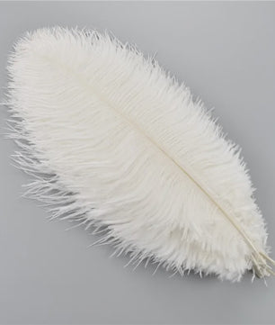 Set van 10 Gekleurde Struisvogelveren voor Knutselen, Decoratie en Feesten