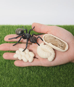 Montessori Levenscyclus Insecten Speelgoed: Spin, Duizendpoot, Schorpioen & Mier