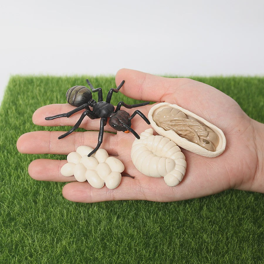 Montessori Levenscyclus Insecten Speelgoed: Spin, Duizendpoot, Schorpioen & Mier
