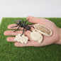 Montessori Levenscyclus Insecten Speelgoed: Spin, Duizendpoot, Schorpioen & Mier