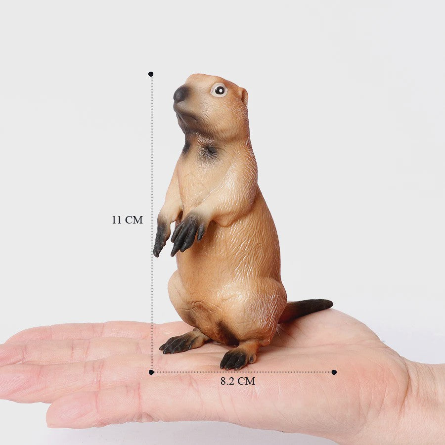 Realistische Dierenfiguren Collectie: Knaagdieren & Wilde Dieren