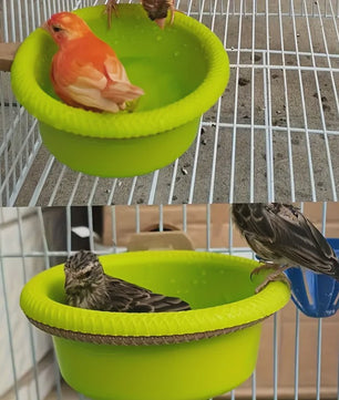Vogelbadje met Ophangring - Groen Plastic Kom - 12cm Diameter
