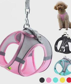 Verstelbaar Puppy en Kat Tuigje met Riem - Ideaal voor Kleine Honden zoals Chihuahua & Franse Bulldog
