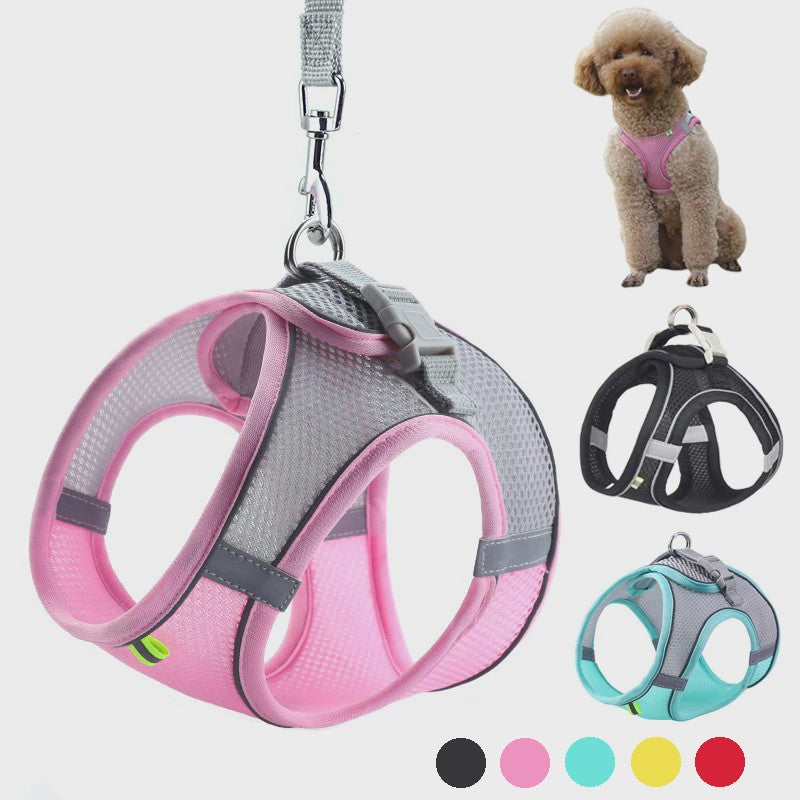 Verstelbaar Puppy en Kat Tuigje met Riem - Ideaal voor Kleine Honden zoals Chihuahua & Franse Bulldog