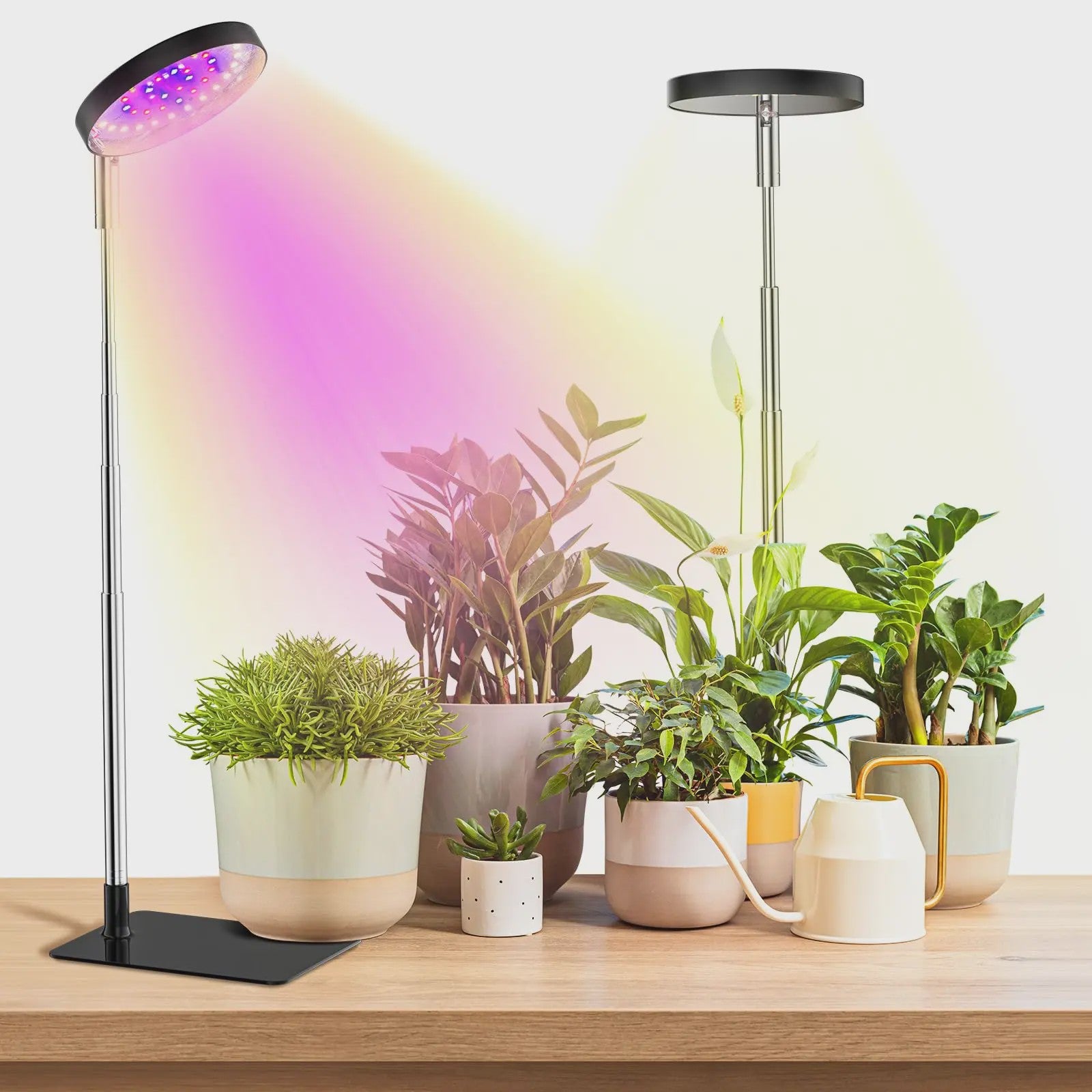 Full Spectrum LED Plantenlamp met 48 LEDs, Instelbare Hoogte & Timer