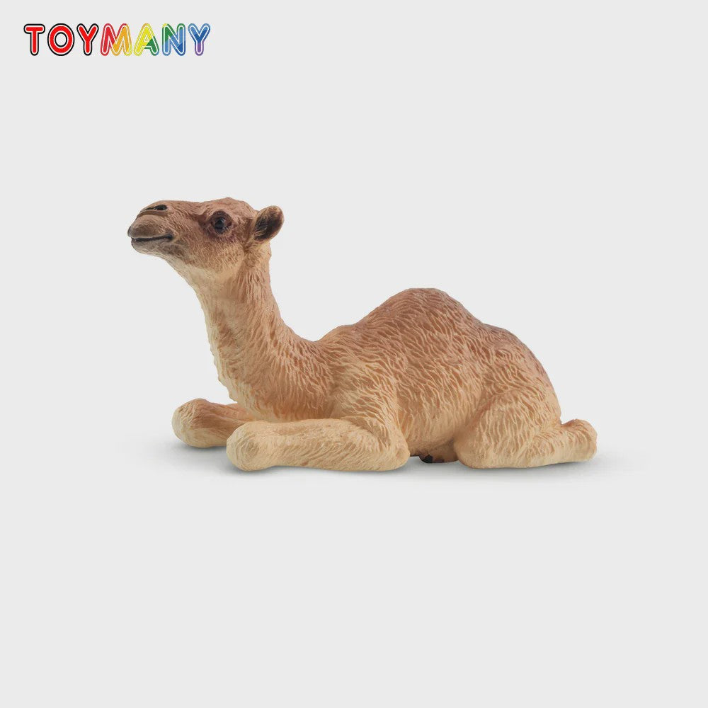 Toymany Camel Kalf Miniatuur Dier Model - Realistische Speelgoedfiguur voor Kinderen & Taartdecoratie