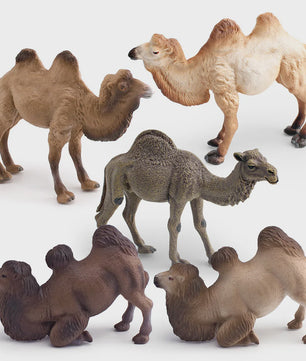 Realistische Dromedaris & Baktriaanse Kameel Figuren - Desktop Ornament