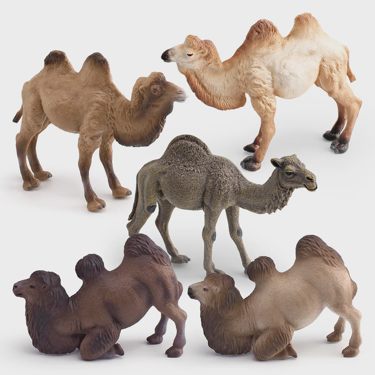 Realistische Dromedaris & Baktriaanse Kameel Figuren - Desktop Ornament