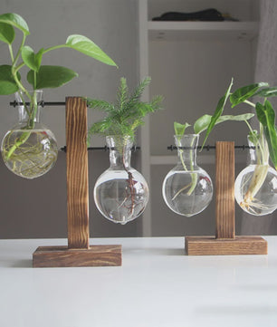 Glazen Vaas met Houten Standaard - Hydroponische Plantenbak voor Bureau & Tafel