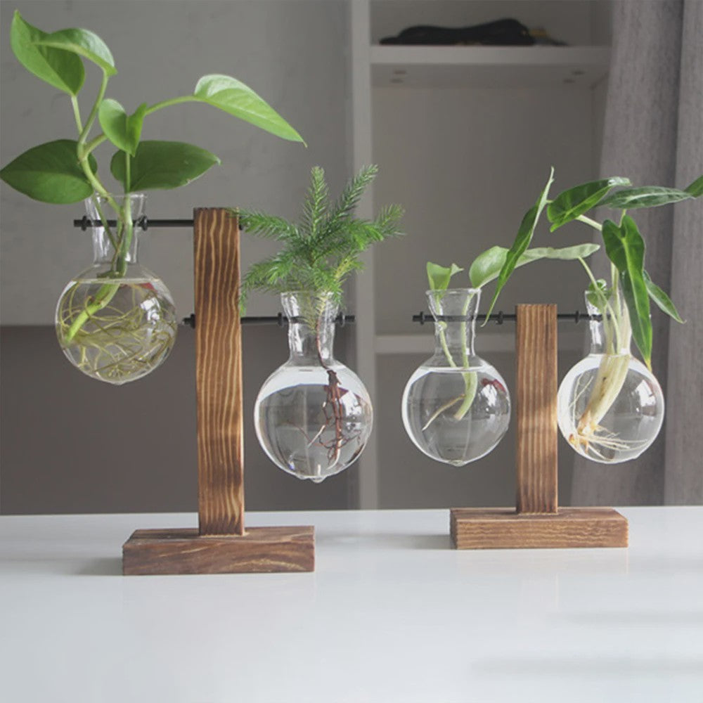 Glazen Vaas met Houten Standaard - Hydroponische Plantenbak voor Bureau & Tafel