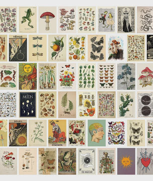 50 Stuks Esthetische Botanische Muurdecoratie Set: Planten, Bloemen, Vlinders & Paddenstoelen Posters